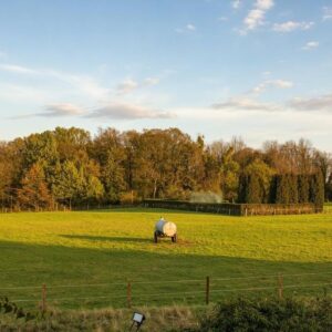 Exklusives Grundstück am Landschaftsschutzgebiet in Hamm-Rhynern