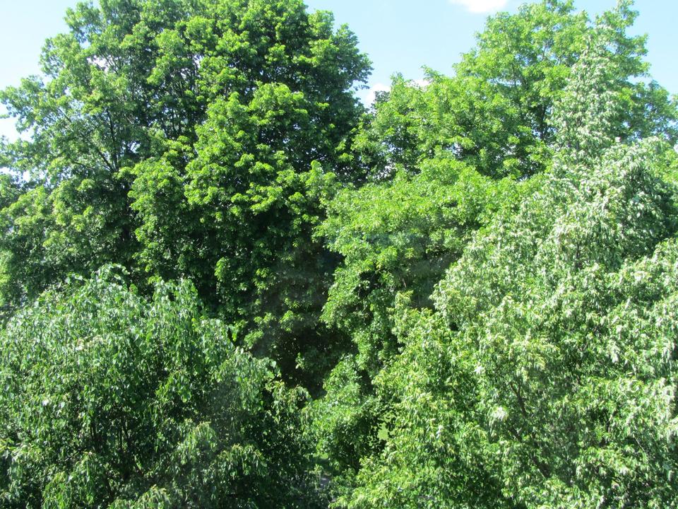 Alfter/Bonn *Wohlfühlwohnung* Aufzug!* SW-Loggia *Stellplatz* Barrierearm*renoviert! – Bild 21