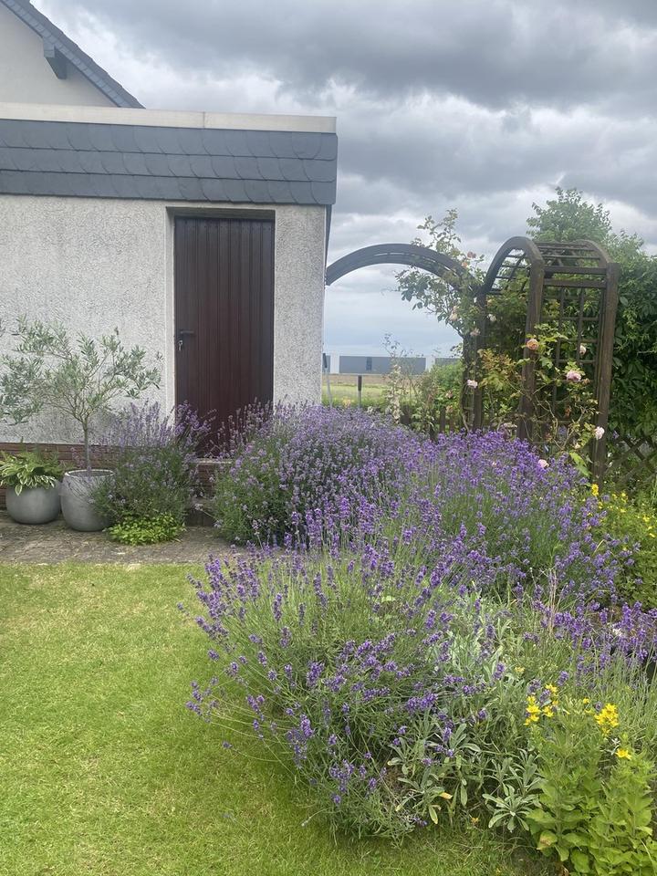 Top gepflegtes, freistehendes Ein- bis Zweifamilienhaus – Bild 27