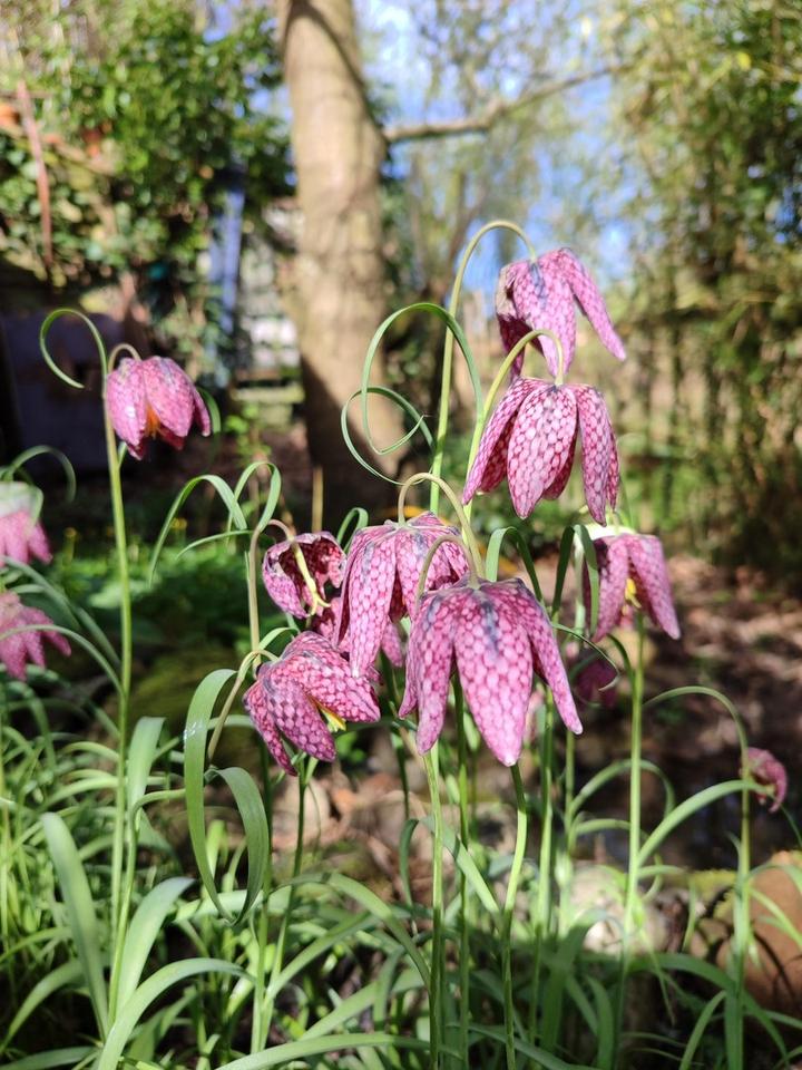 Ökologisch nachhaltiges Niedrigenergiehaus - gesund wohnen mit Lehm – Bild 28
