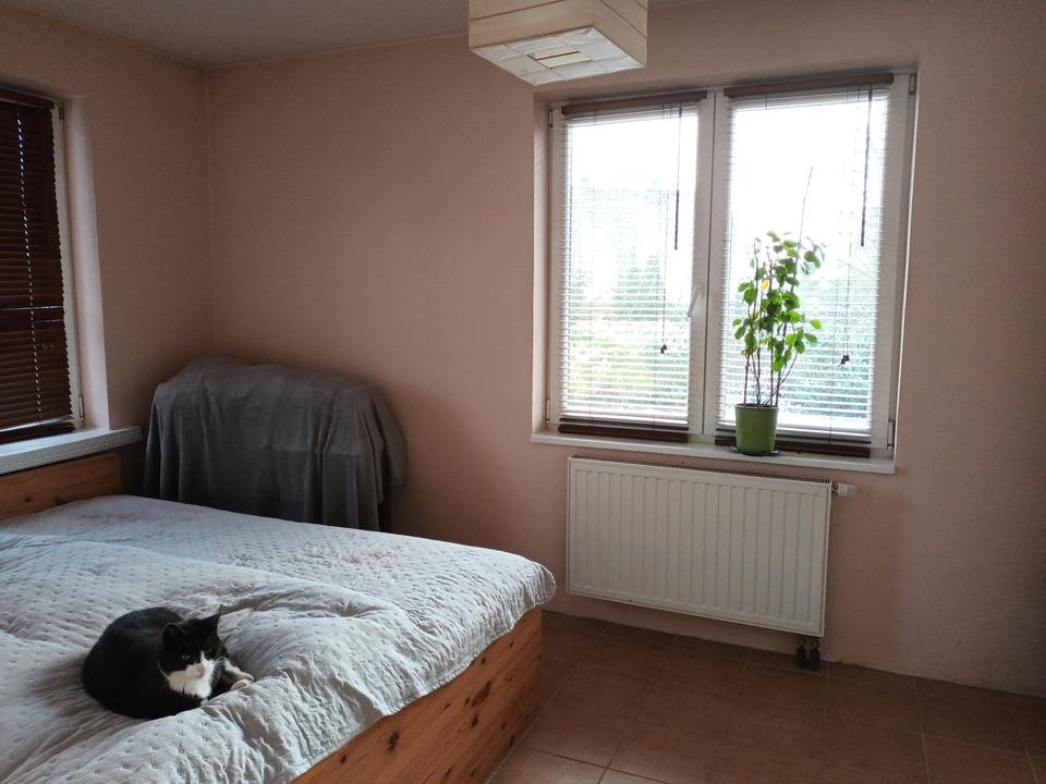 Paradies für Naturliebhaber – Bild 9