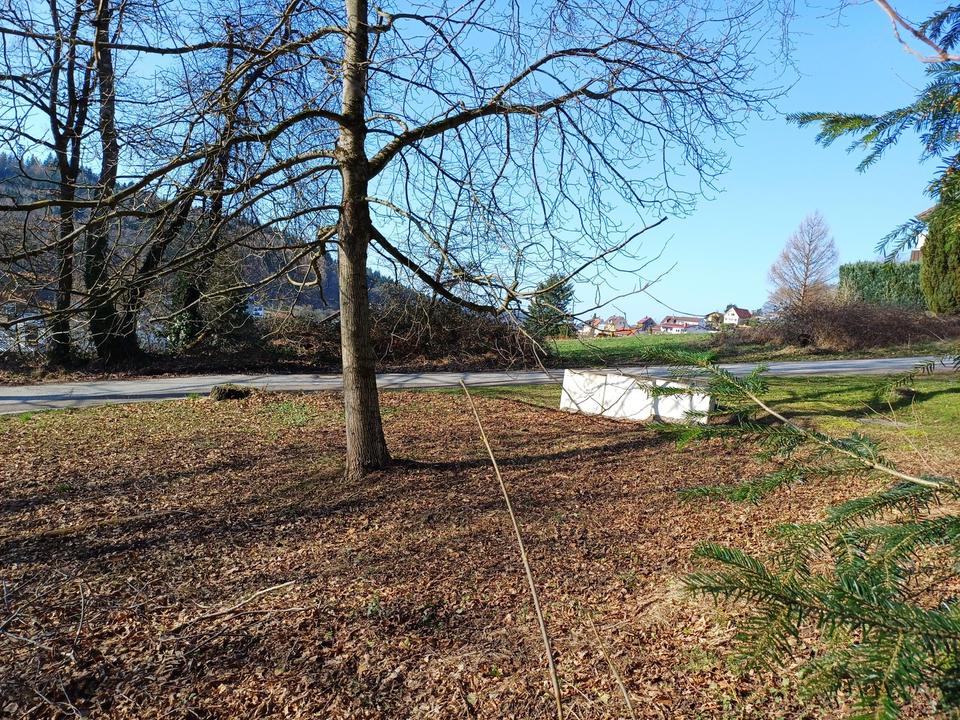 Projektiertes Baugrundstück in bester Lage von Wilhelmsfeld – Bild 3