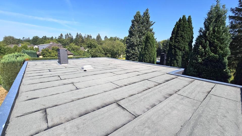 Bungalow auf dem Rhen - großes Grundstück - keine Maklerprovision – Bild 12