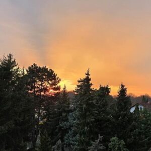 Sonnige 2- Zimmerwohnung mit Blick über den Stünzer Park