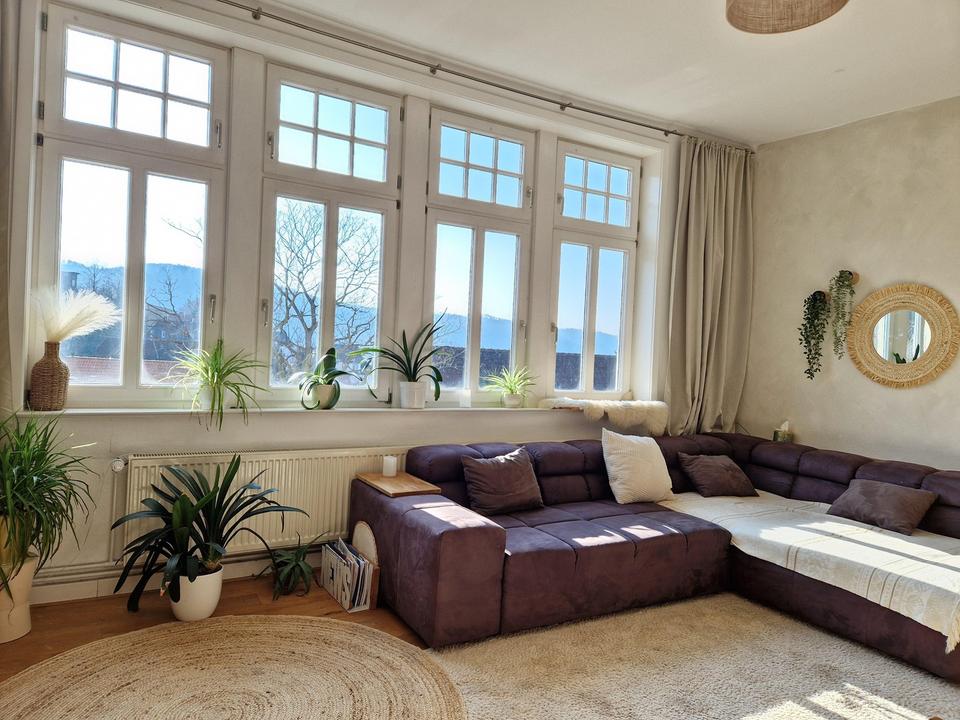 Über den Dächern Bad Harzburgs – Bild 10