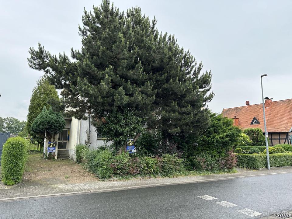 Toplage am Cappenberger See – Bild 2