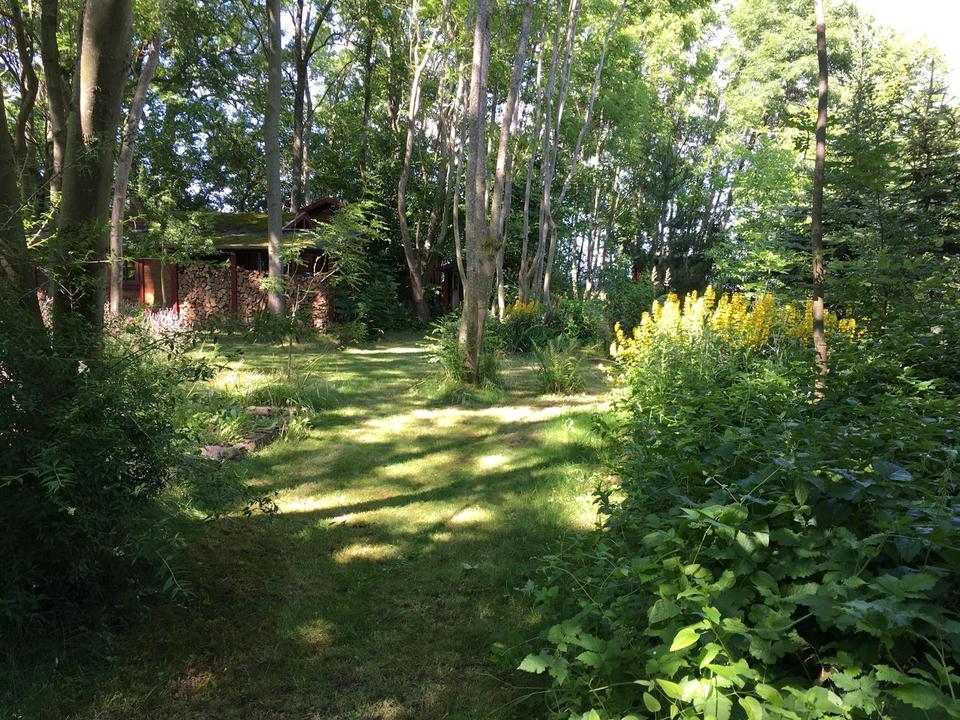 Großes Feriengrundstück auf Rügen mit Bungalow, Gästebungalow und Werkstatt – 650 m² Bauland – Bild 11