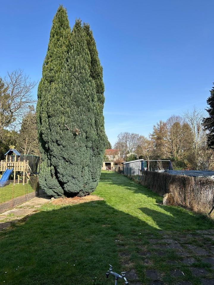 Mehrfamilienhaus – Bild 5