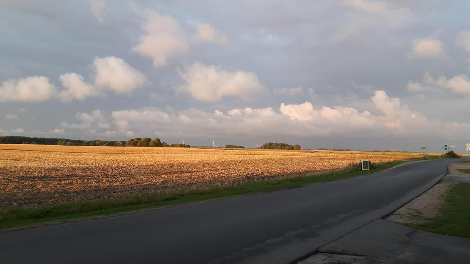 Großes Feriengrundstück auf Rügen mit Bungalow, Gästebungalow und Werkstatt – 650 m² Bauland – Bild 14