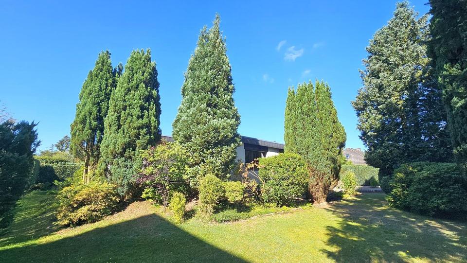 Bungalow auf dem Rhen - großes Grundstück - keine Maklerprovision – Bild 13