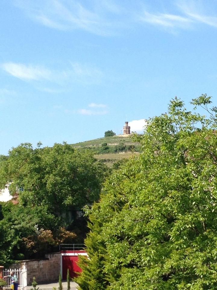 Blick & Lage!! helle - unvermietete 3,5 Zimmerwohnung ca. 88 qm mit Südbalkon