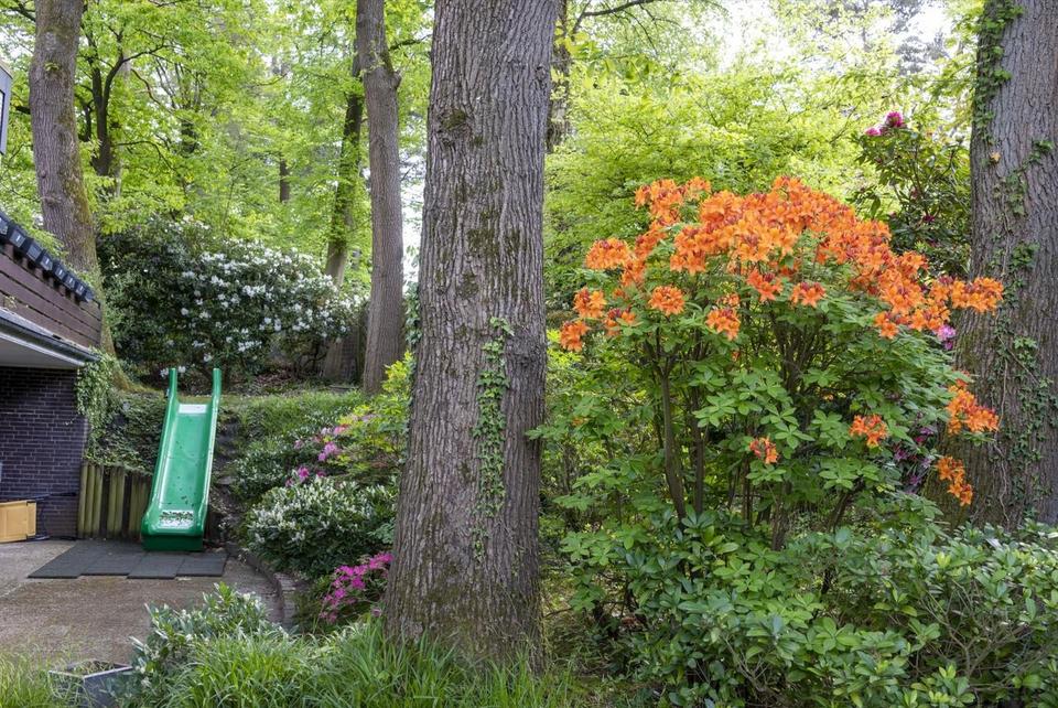 Großzügiges Ein-/Zweifamilienhaus in bester Lage mit tollem Garten – Bild 8