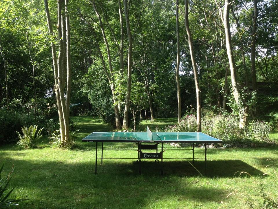 Großes Feriengrundstück auf Rügen mit Bungalow, Gästebungalow und Werkstatt – 650 m² Bauland – Bild 12