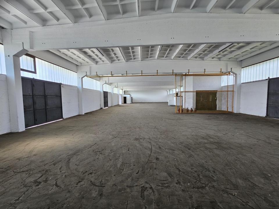 Lagerhalle mit einer Fläche bis 840m² + Büro/Wohnung möglich – Bild 2