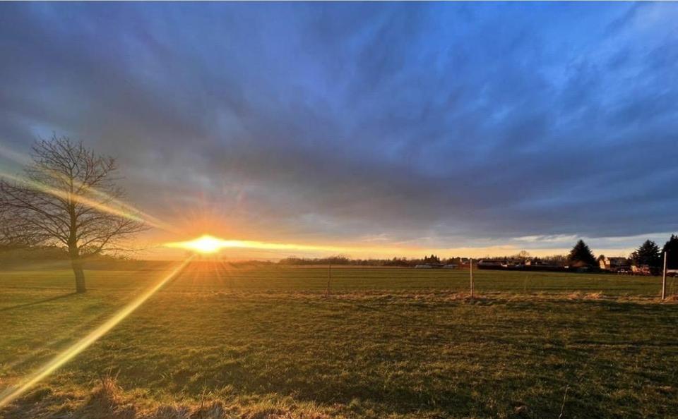 Möbliertes Wohnen in Radebeul / Dresden – Bild 16