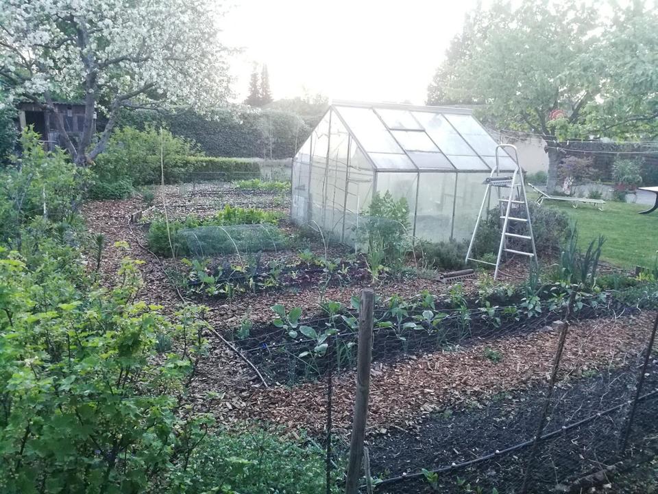 Haus mit Einliegerwohnung voll unterkellert in Wesendorf – Bild 4