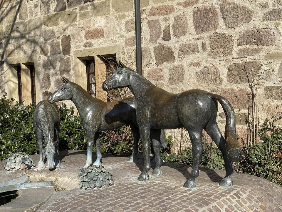 CHARMANTE EIGENTUMSWOHNUNG -PROVISIONSFREI- von Privat – Bild 20