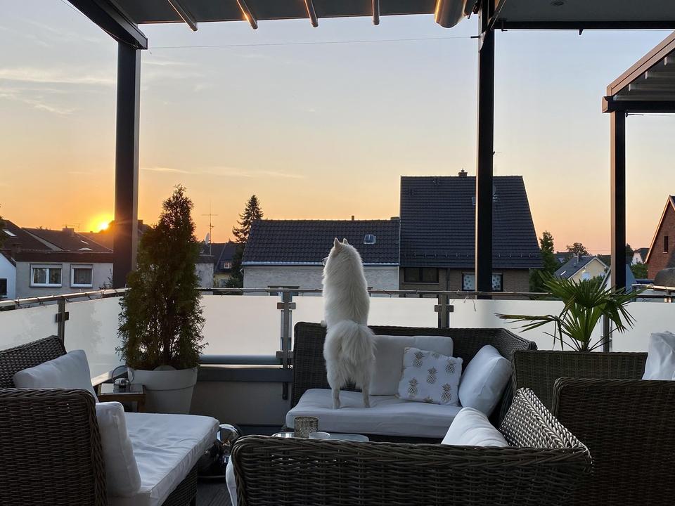 Penthouse mit Blick über die Siegauen bis zum Siebengebirge. – Bild 8