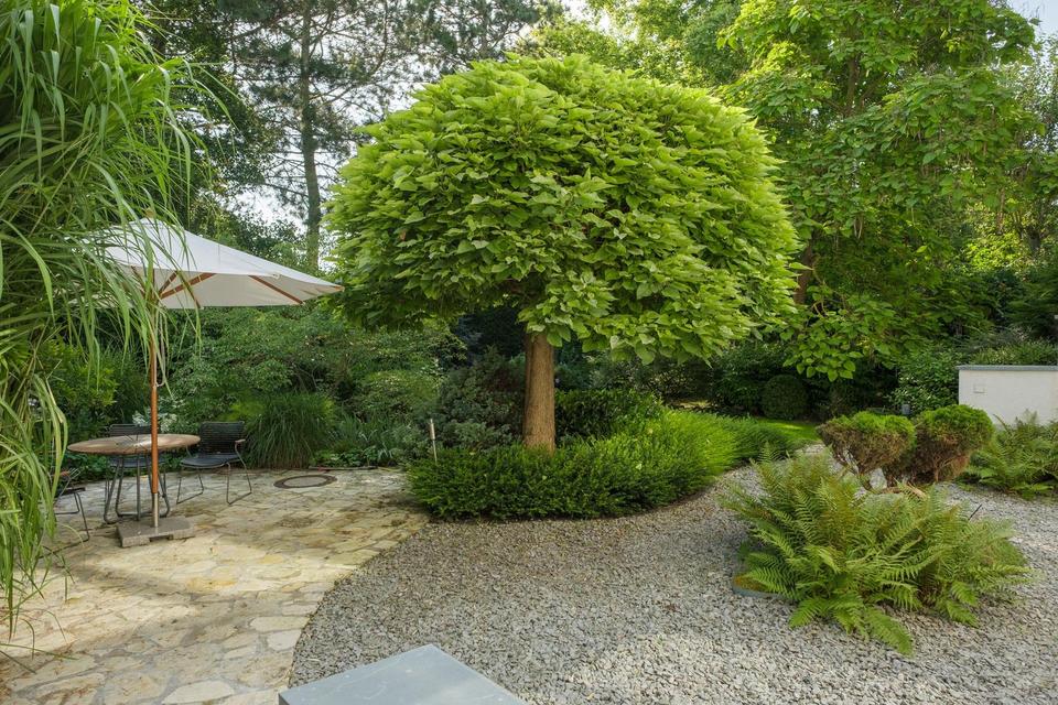 Leben und Arbeiten in schöner Lage – Bild 33