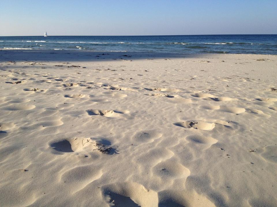 Großes Feriengrundstück auf Rügen mit Bungalow, Gästebungalow und Werkstatt – 650 m² Bauland – Bild 16