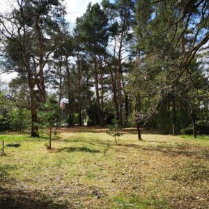 von Privat an Privat: kein Grundstück zum Träumen, sondern zum Bauen!