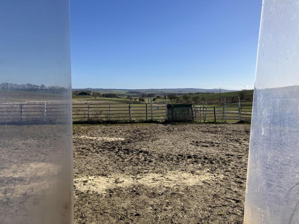 Liebevoller Hof mit Weideland nahe Kassel auf 27000qm – Bild 3