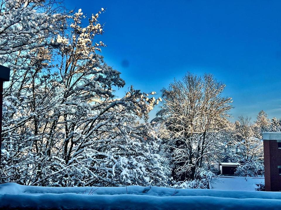 kleines Refugium im Süden Münchens – Bild 13