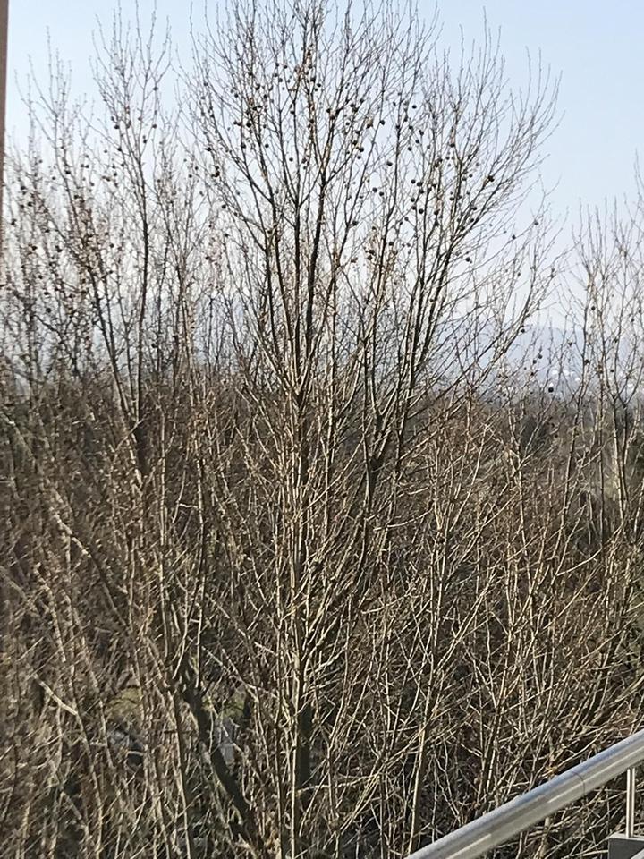 Helle 3-Zimmer-Wohnung mit großem Balkon und traumhaftem Taunusblick – Bild 16