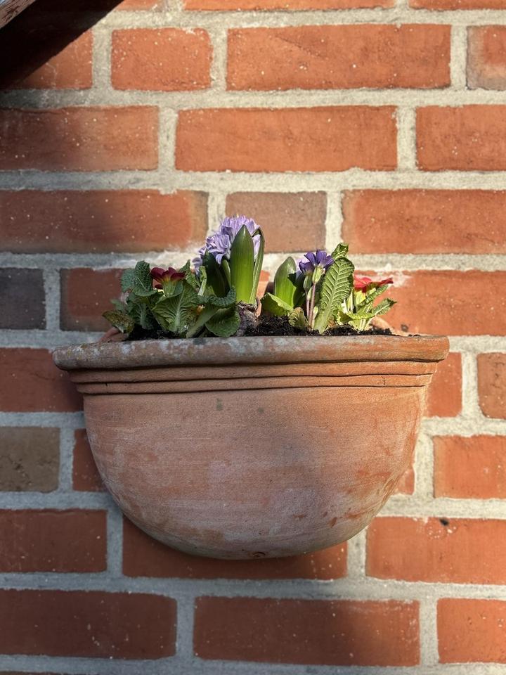 Licht. Raum. Küstennähe- Ihr Zuhause in Travemünde – Bild 19