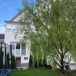 Repräsentatives 3 Mehrfamilienhaus in Düsseldorf -Mörsenbroich