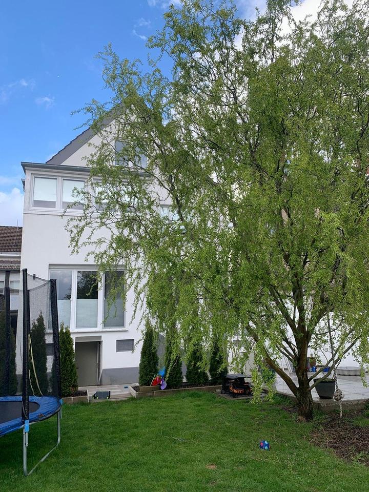 Repräsentatives 3 Mehrfamilienhaus in Düsseldorf -Mörsenbroich