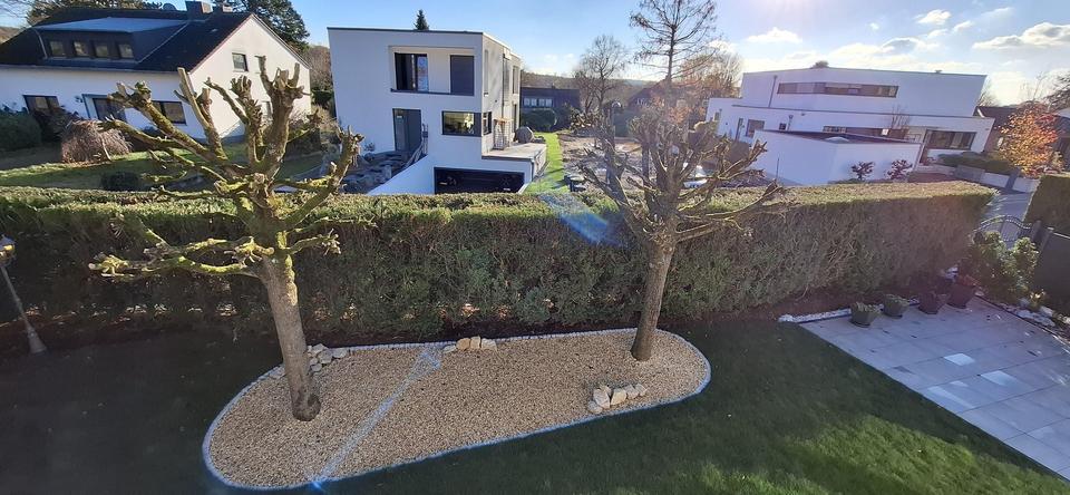 Nähe Bonn - Einfamilienhaus mit Einliegerwohnung. PROVISIONSFREI ! – Bild 21