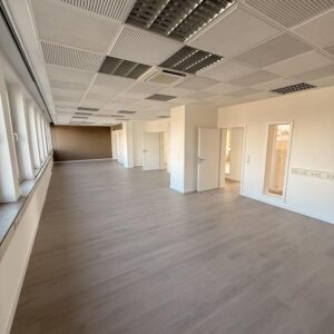 Gewerbliche Büro- / Praxisfläche - 461,5 m² - Mietobjekt