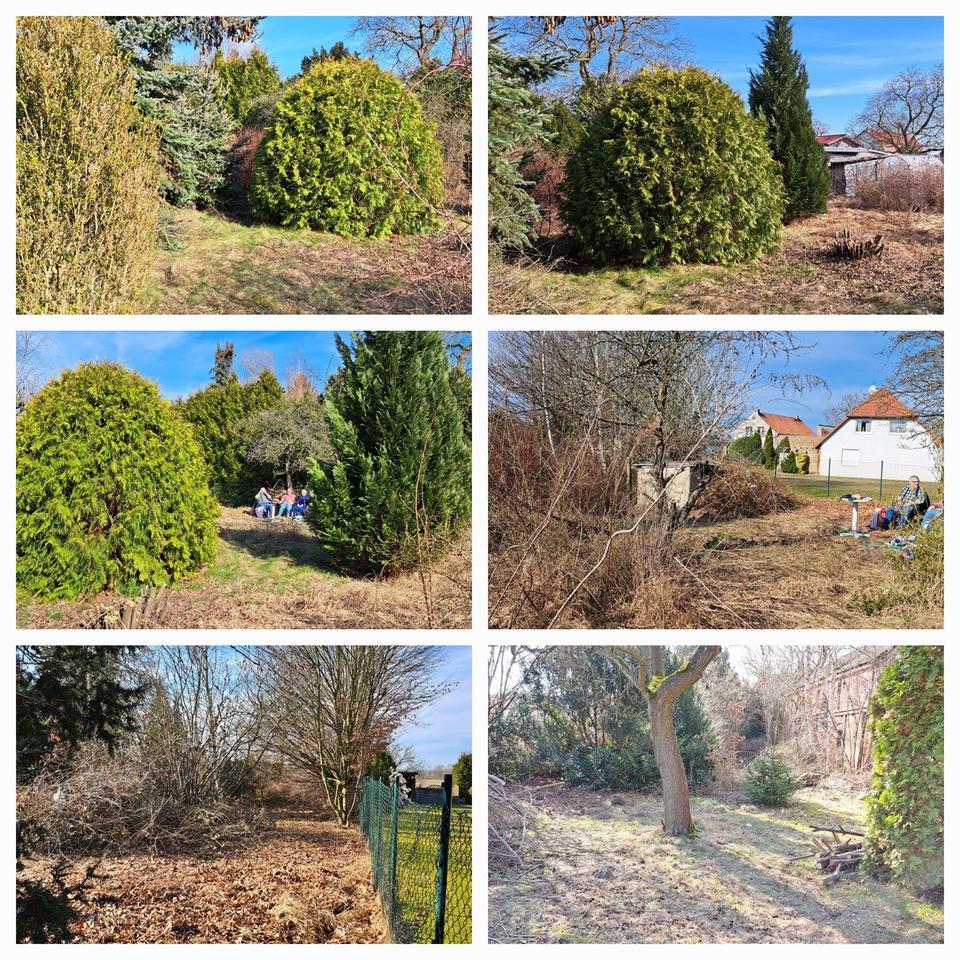 Großzügiges Arial nahe Berlin mit Entwicklungspotential - teilbar & ideal für Bauträger, Investoren – Bild 9