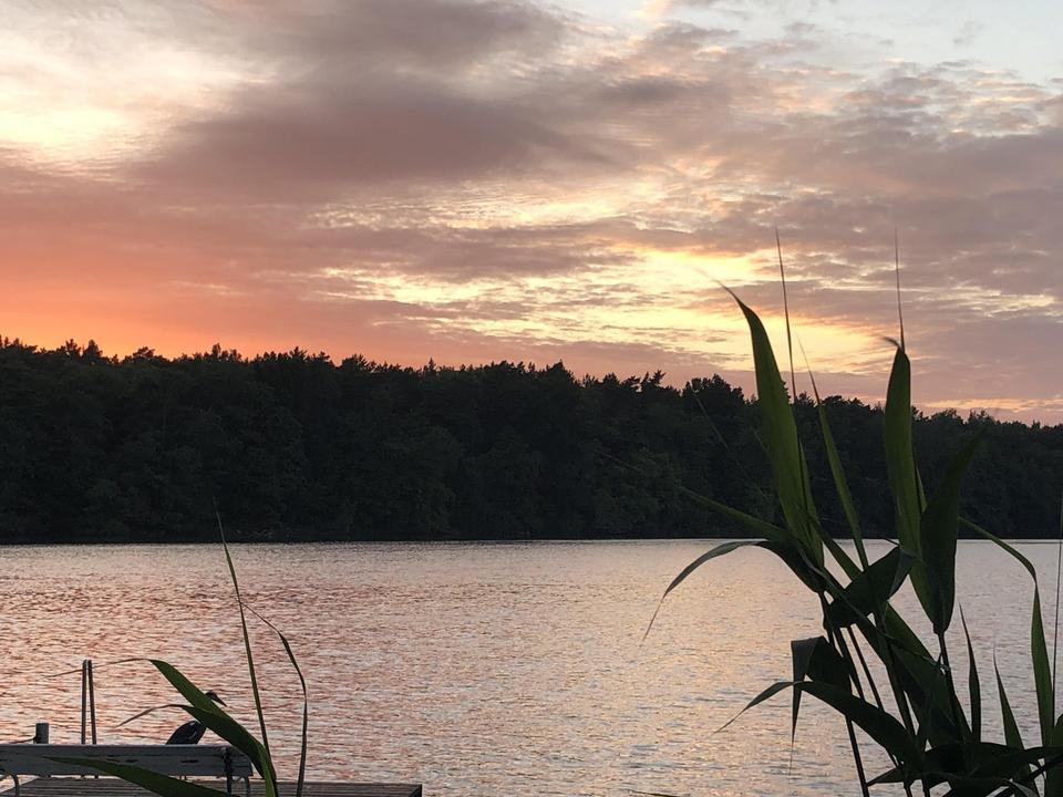 gepflegte Villa mit eig. Seezugang, Steg, Gästehaus, Sauna, Designmobiliar nahe Berlin – Bild 13