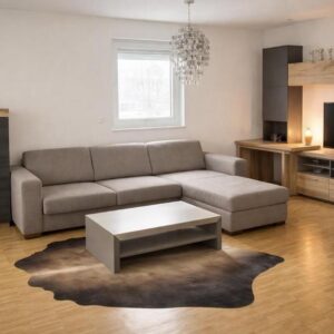 Teilmöbillierte neuwertige 2-Zimmer Wohnung