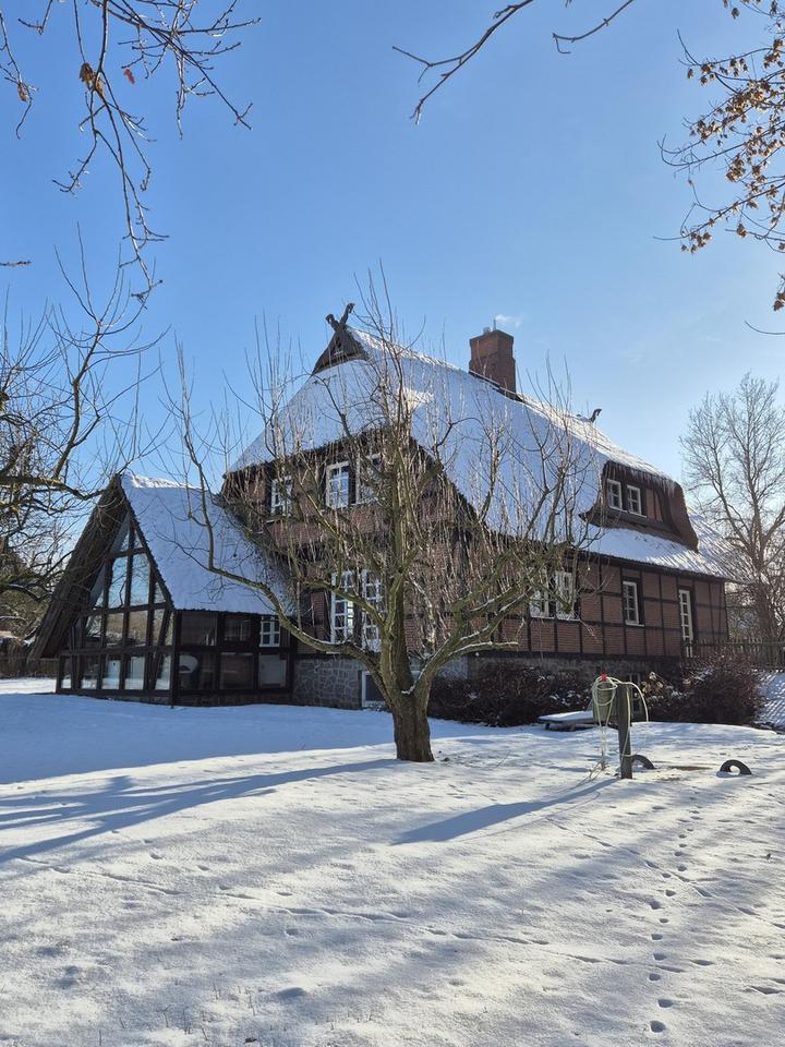 Weide, Wald und Wintergarten - Ein Traumhaus unterm Reetdach – Bild 3