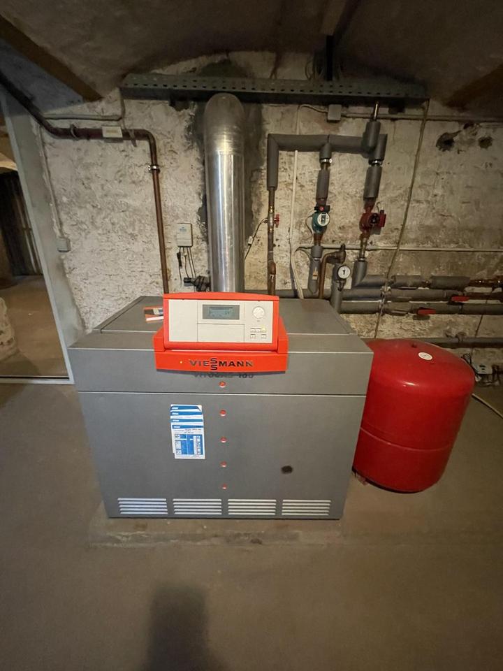 Cash-Cow bei Dresden – Bild 7