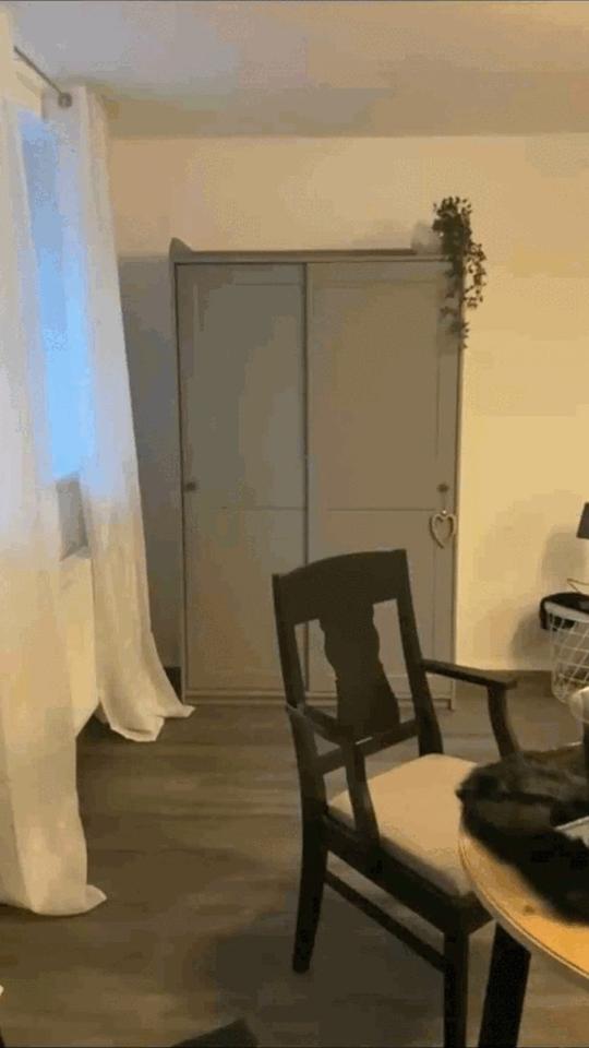 Moderne 1,5-Zimmer-Wohnung (47 m²) – kernsaniert, Stellplatz, ruhige Lage bei Sigmaringen – Bild 4