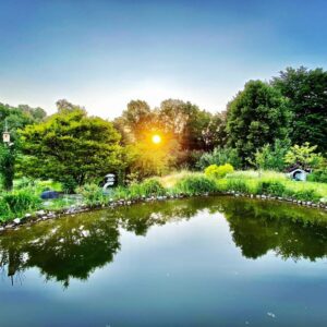 Baugrundstück 1862qm, Traumnaturblick, westlicher Ortsrand mit "Altbestand"