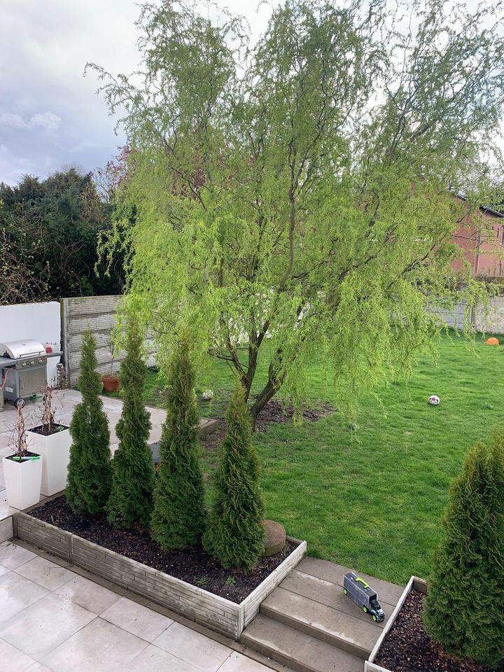 Repräsentatives 3 Mehrfamilienhaus in Düsseldorf -Mörsenbroich – Bild 18