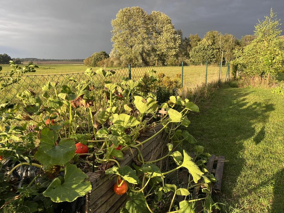 Neues Design-Haus nahe Ostsee mit Weitblick provisionsfrei als Wohnhaus/privates Ferienhaus + Garten – Bild 9