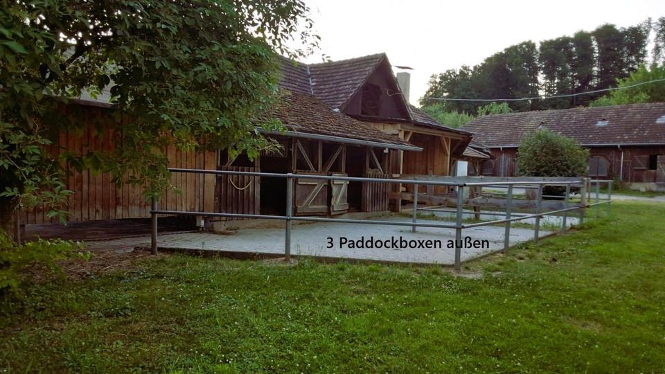 Arrondiertes Landgut mit vielseitigen Nutzungsperspektiven – Bild 19