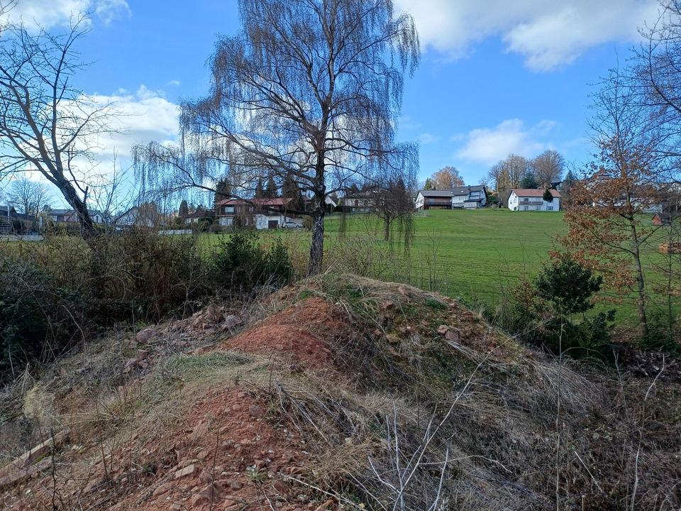 Projektiertes Baugrundstück in bester Lage von Wilhelmsfeld – Bild 4