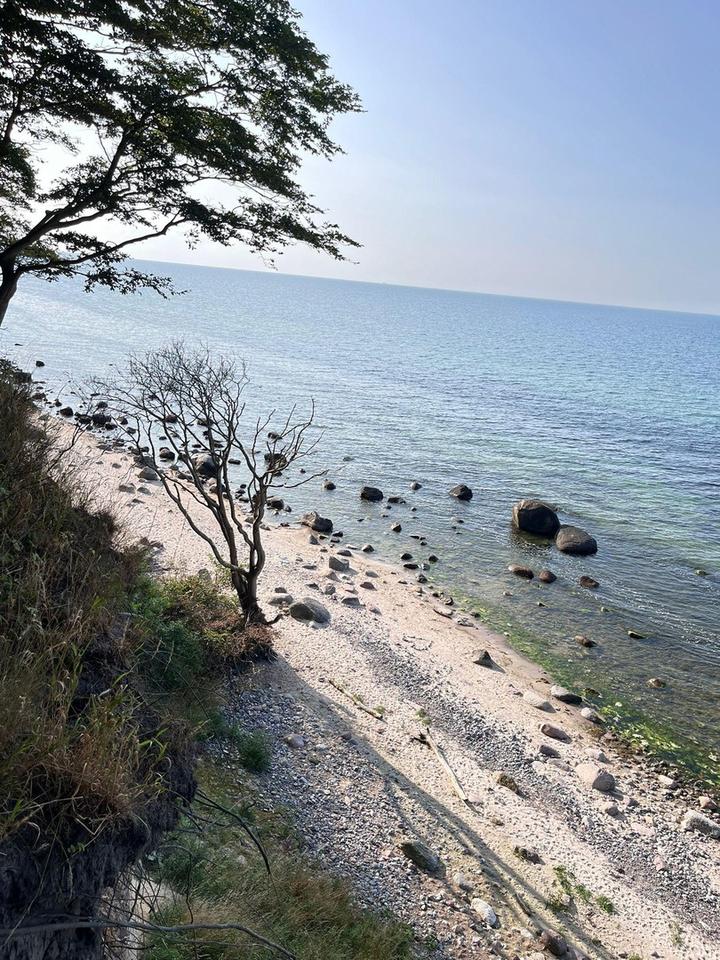 Großes Feriengrundstück auf Rügen mit Bungalow, Gästebungalow und Werkstatt – 650 m² Bauland – Bild 13