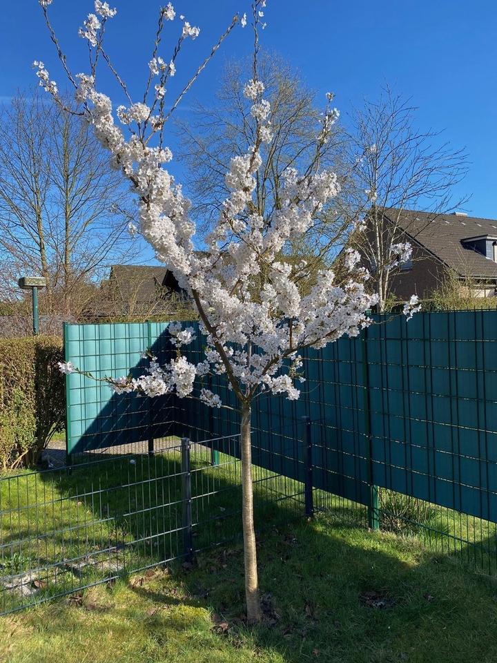 Neuwertige Doppelhaushälfte mit wunderschöner Aussicht – Bild 12