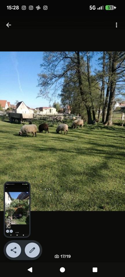 Haus - Mühle - Bauernhaus - einzigartig Wohnen in ländlicher Idylle – Bild 5