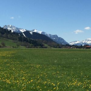 Einzigartiges Allgäu-Juwel: Kompakte Maisonette-Doppelhaushälfte in Top-Sonnenlage