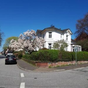 Stilvolle Jugendstilvilla mit Parkblick in Itzehoe