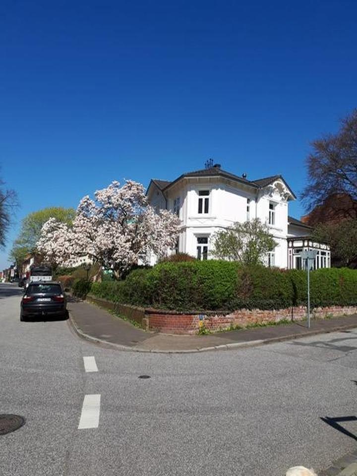 Stilvolle Jugendstilvilla mit Parkblick in Itzehoe